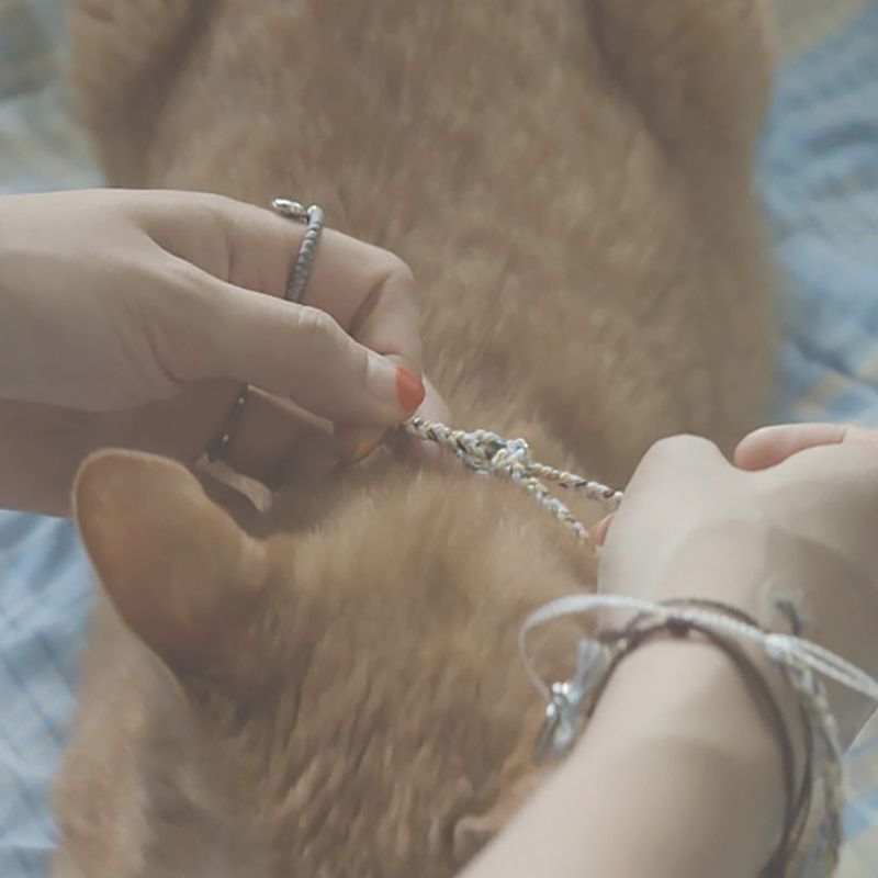 Animal Freedom RING (2color)