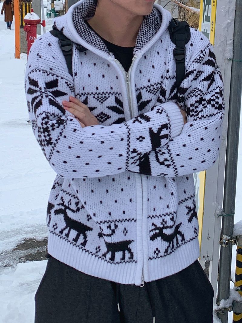 Snowflake Nordic wool knit hooded zip-up