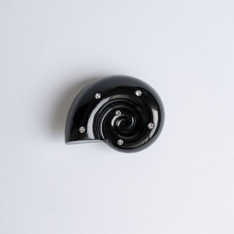 Ammonite Tok Standard_ Black