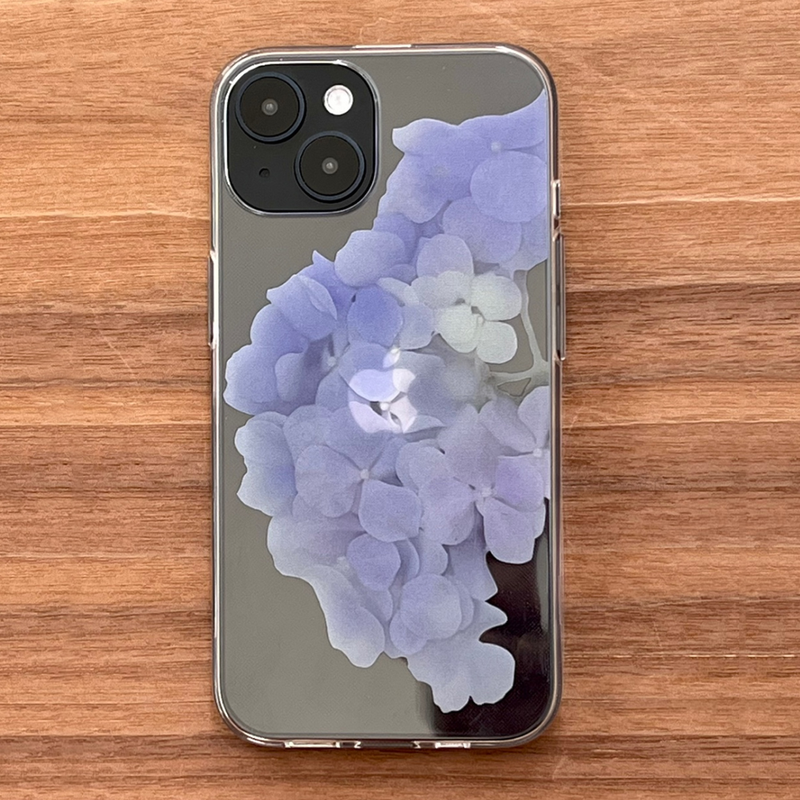 pressed flowers : hydrangea