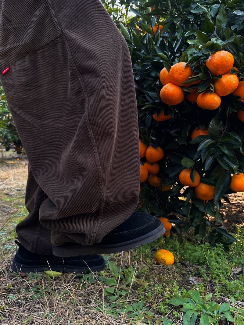 Dane Corduroy Balloon Pants 5C