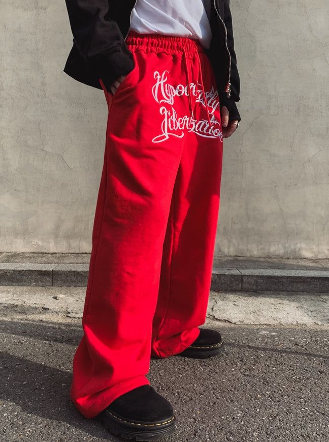 Zenith embroidered brushed wide pants