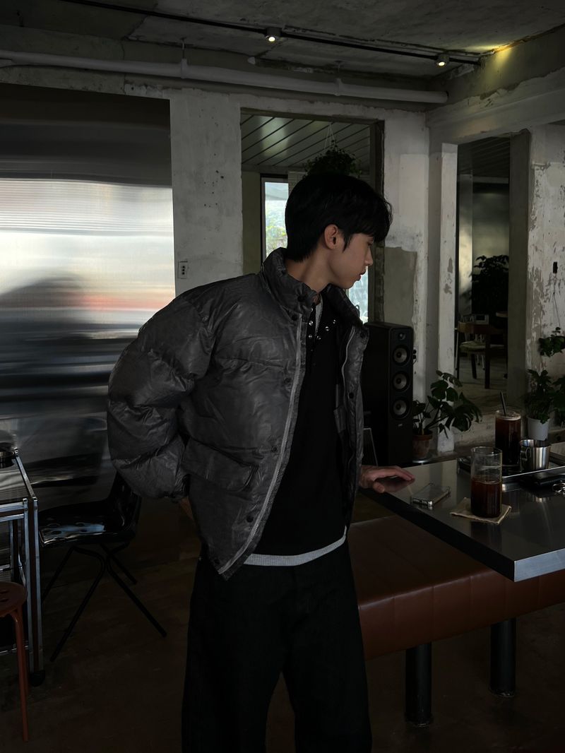 Cracked Nuptse Metallic Short Puffer Jacket