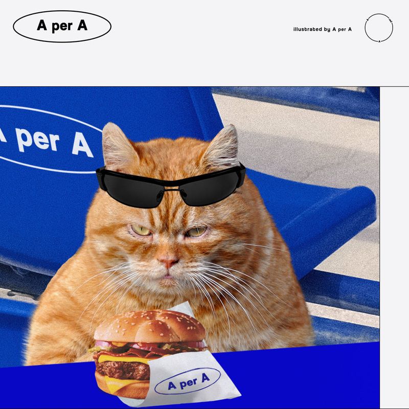gluttony Cat and hamburger