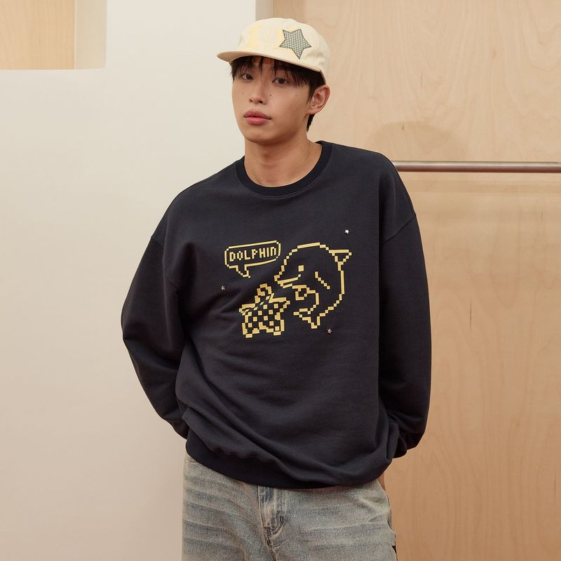 Pixel Star Dolphin Sweatshirt