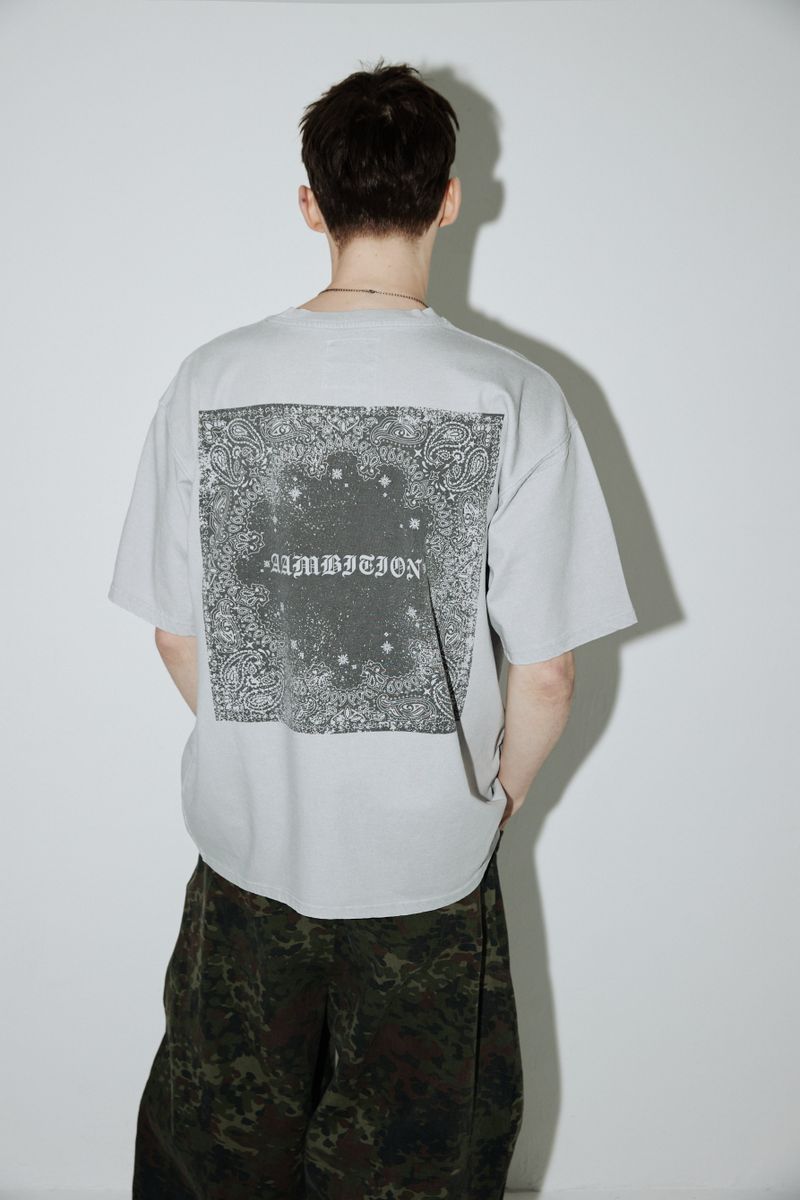 Vintage Paisley T-shirts (Ashed-gray)