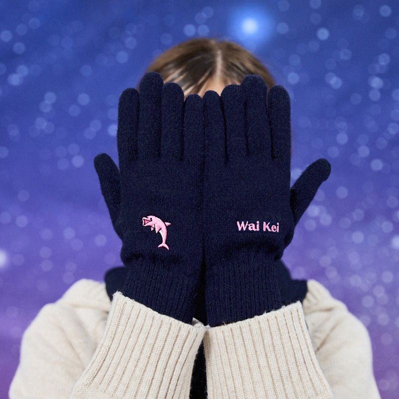 Dolphin smart touch gloves
