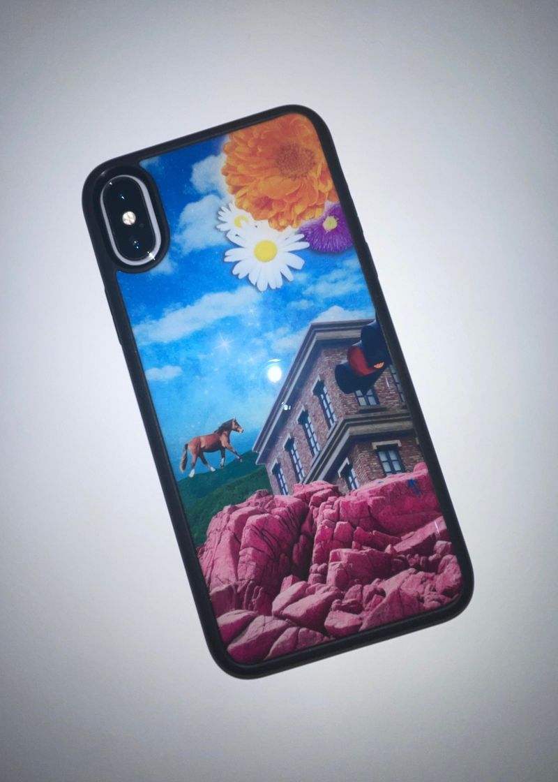 phone case 05. HORSE MOLY