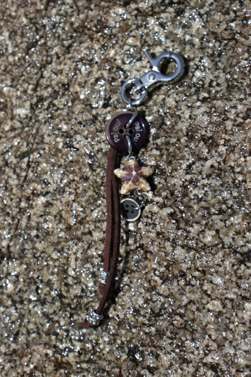 Culcita keyring_brown