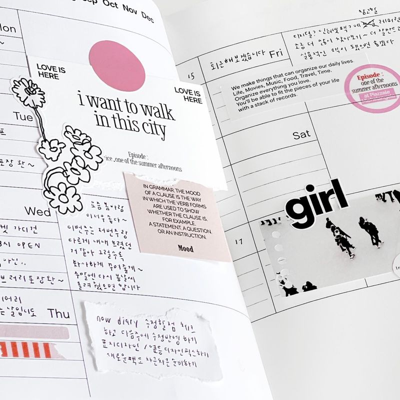 oab organize diary / soft cover