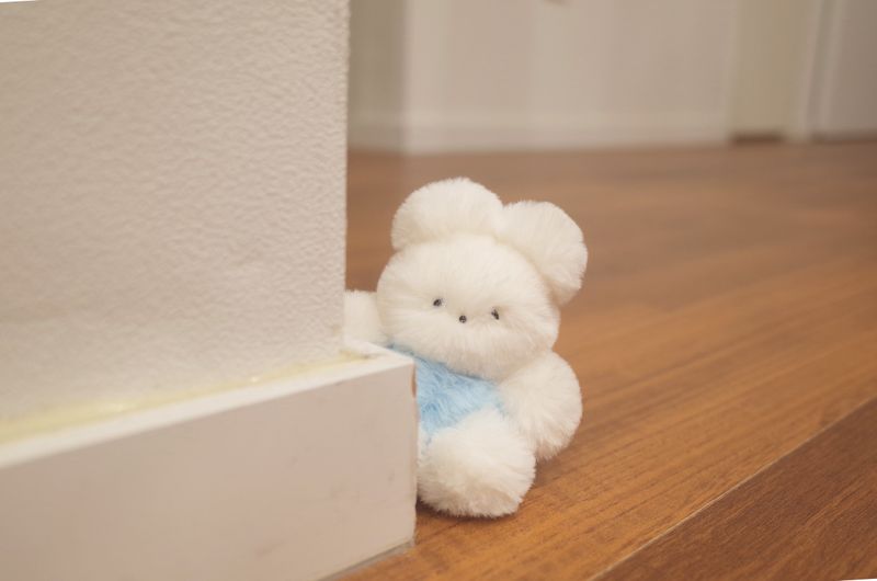 dressed rabbit keyring