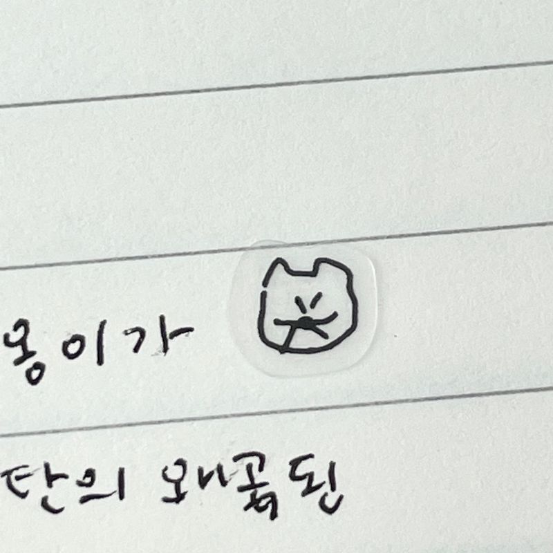 Small Cat Clear Sticker (2 set)