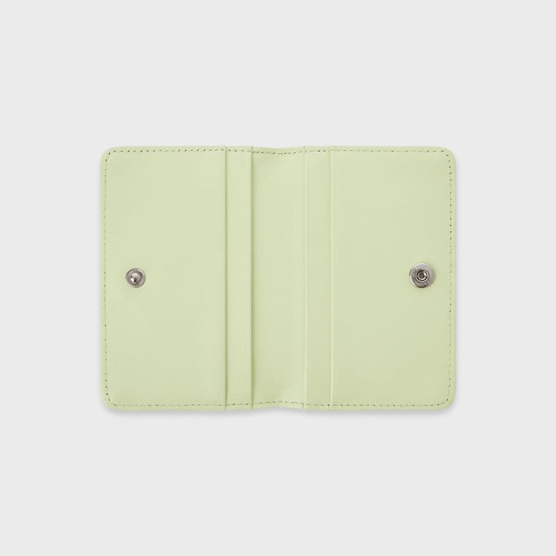 Sunlit Card Case (Melon)