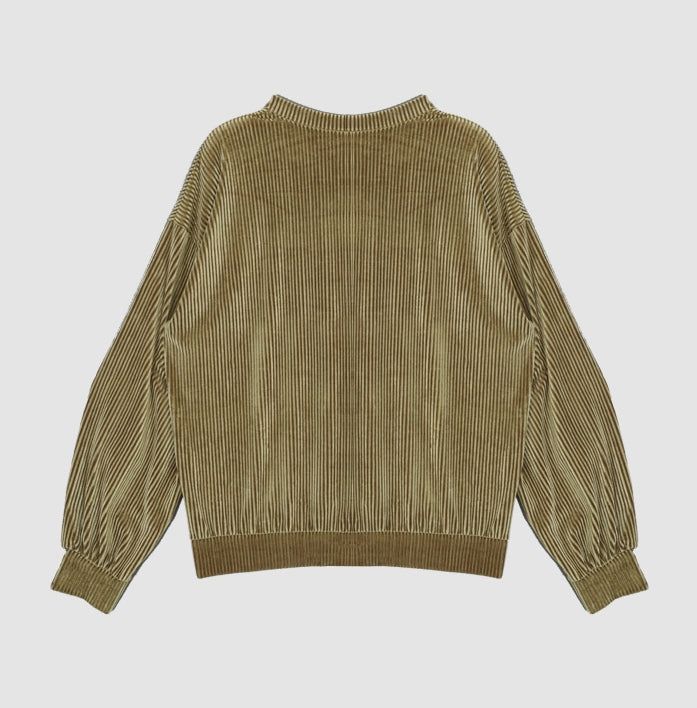 Glitter ribbed velvet top