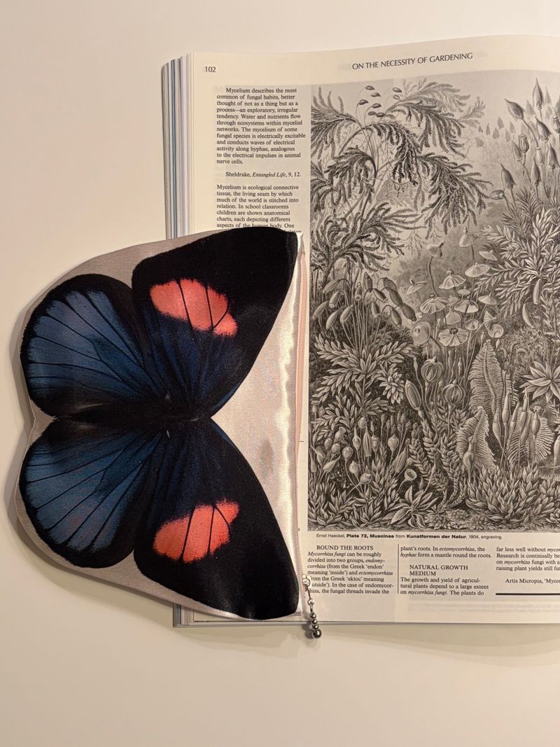 Butterfly Pouch