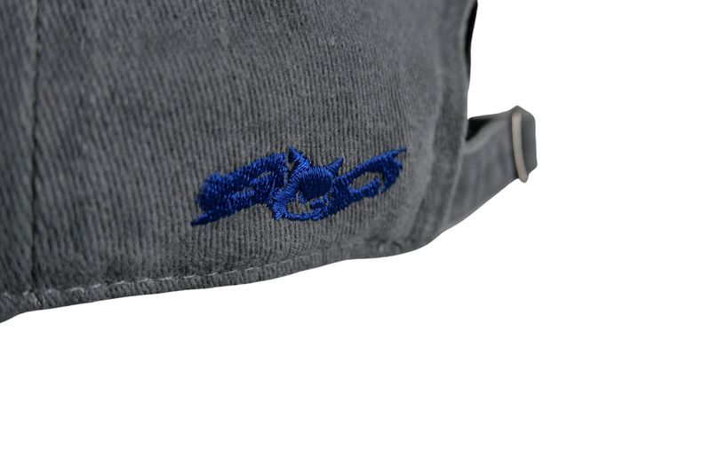 BC® LOGO WASHED CAP _ GRAY