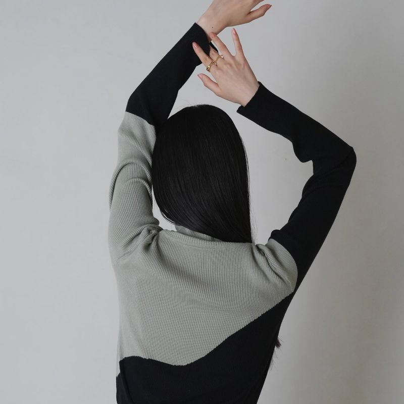 bicolor turtleneck