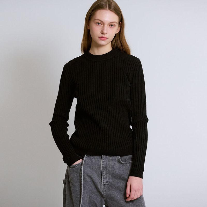 Basic Round Neck Rib Knit Black