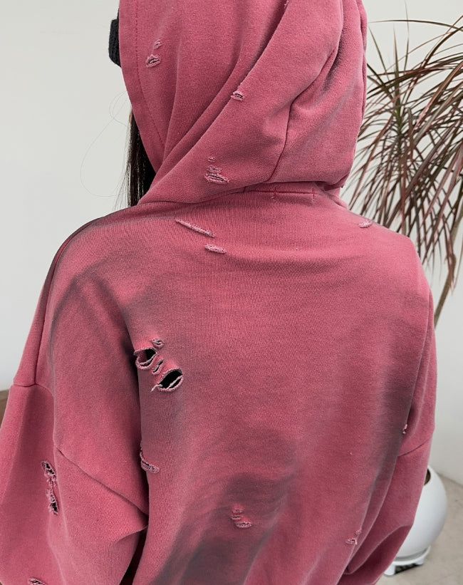 Ferris Crop Damage Hoodie