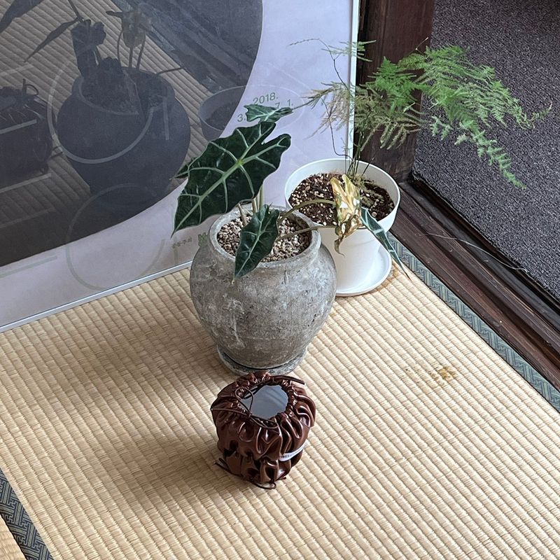 POU POU POT (MELING CHOCO) POPO