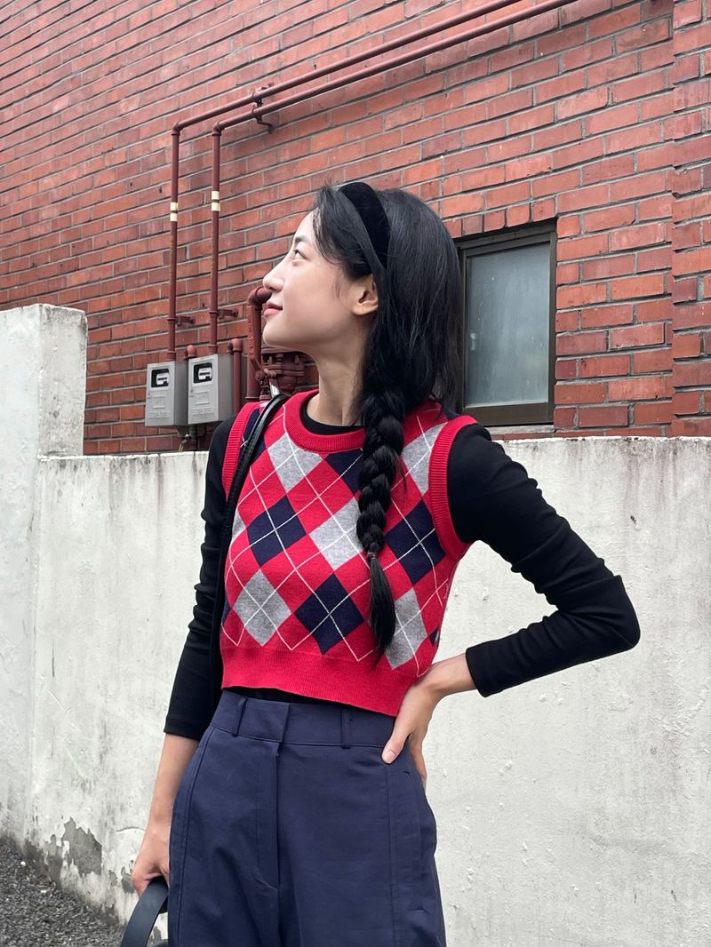 Arco iris（アルコイリス）の「Scottish fish knit vest（Tops）」