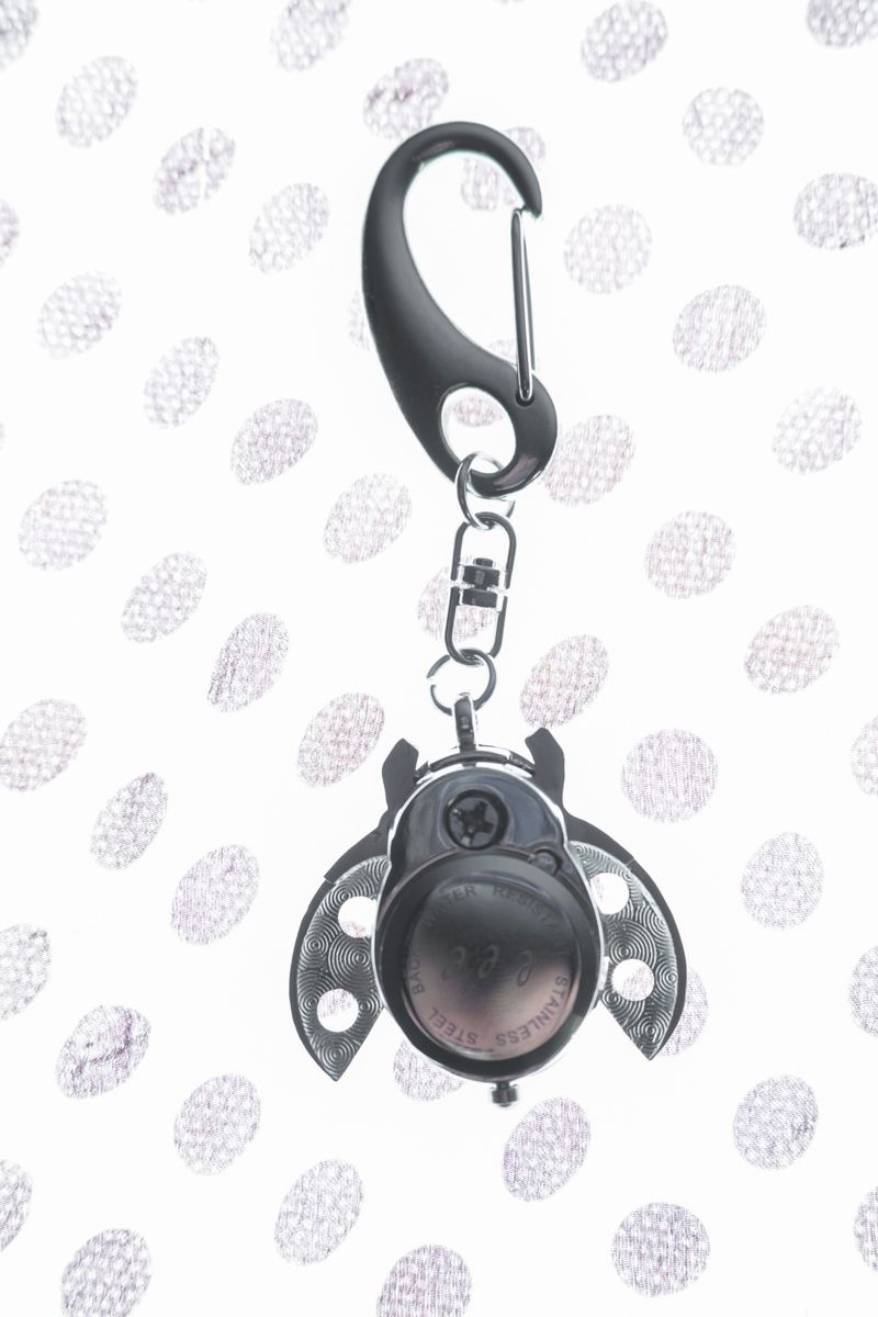 Ladybug Keyring