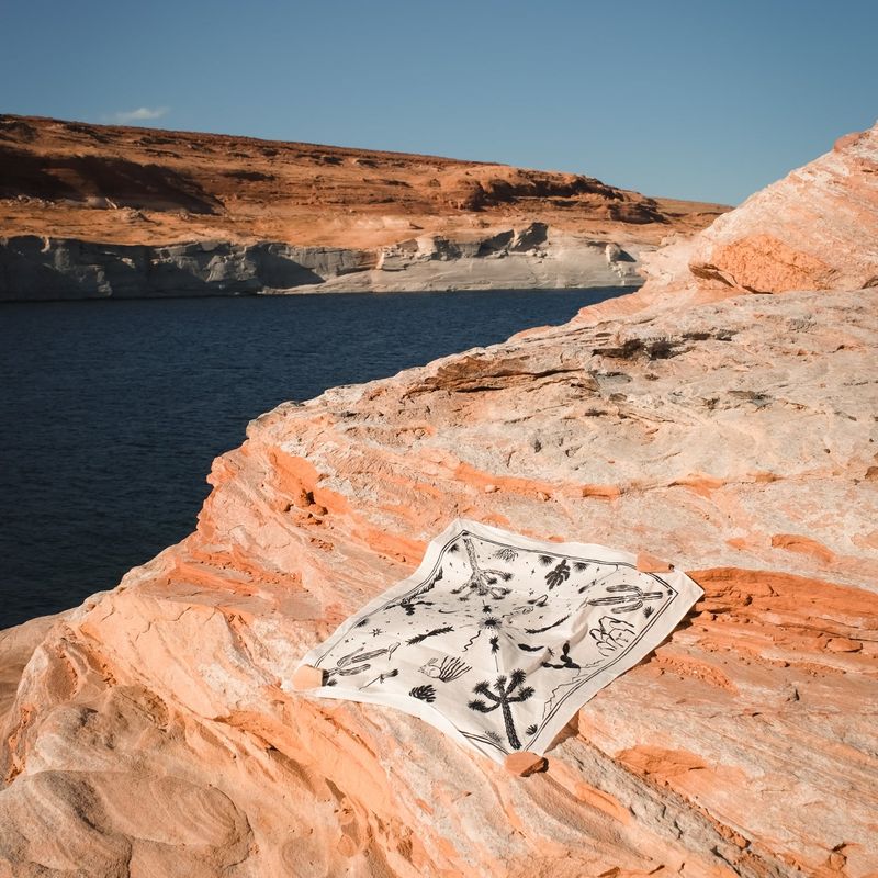 [Scarf] Joshua Tree - White