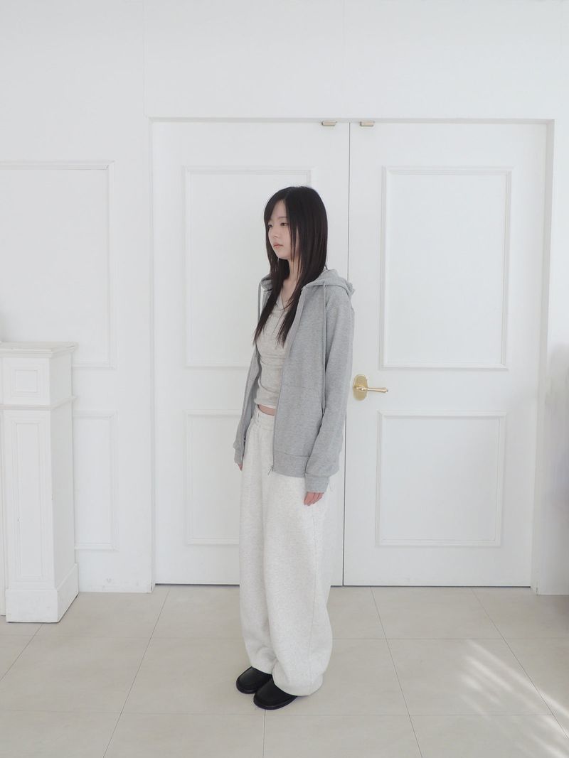 regular hood zip-up (4c)