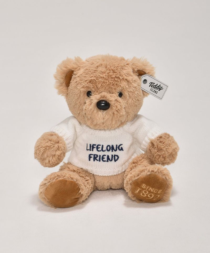 Message Teddybear [WHITE]