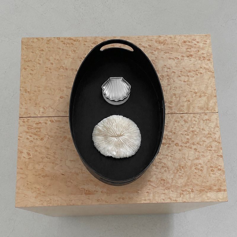shell mirror tok (magnet) - 2colors