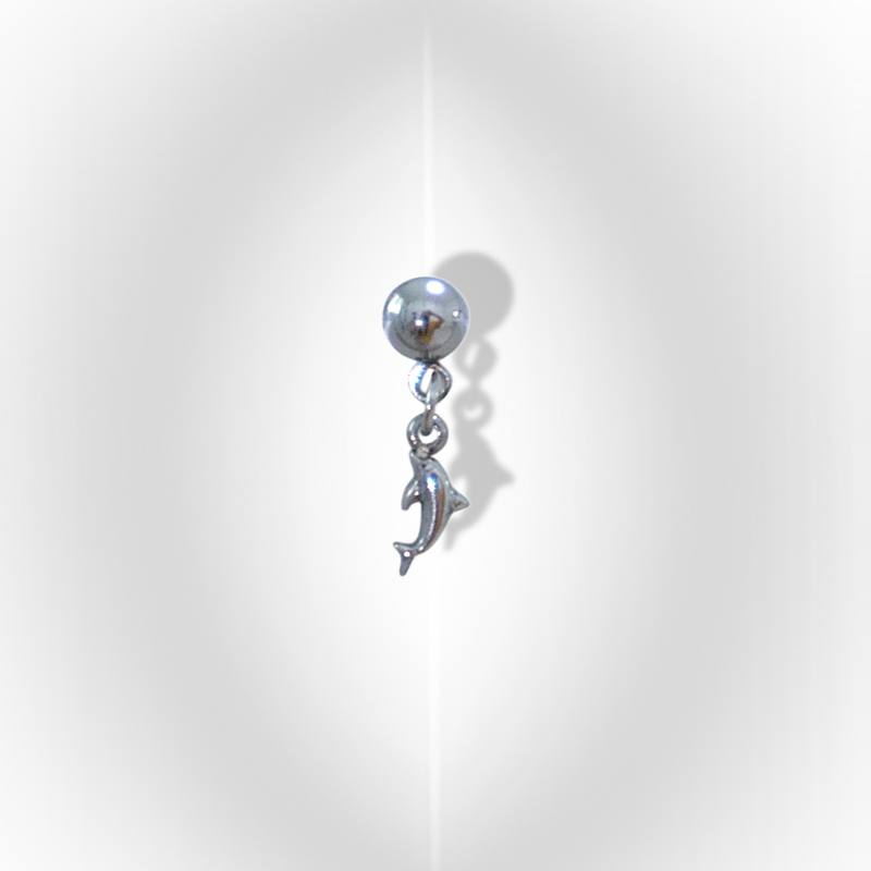 mini dolphin pierce