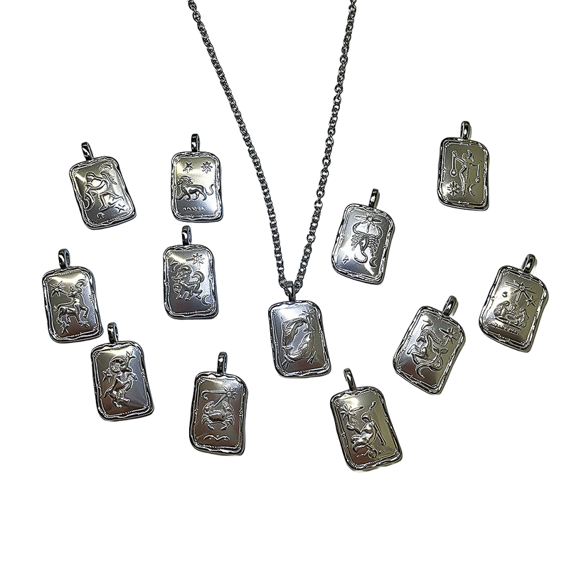 Zodiac sign necklace (14type)