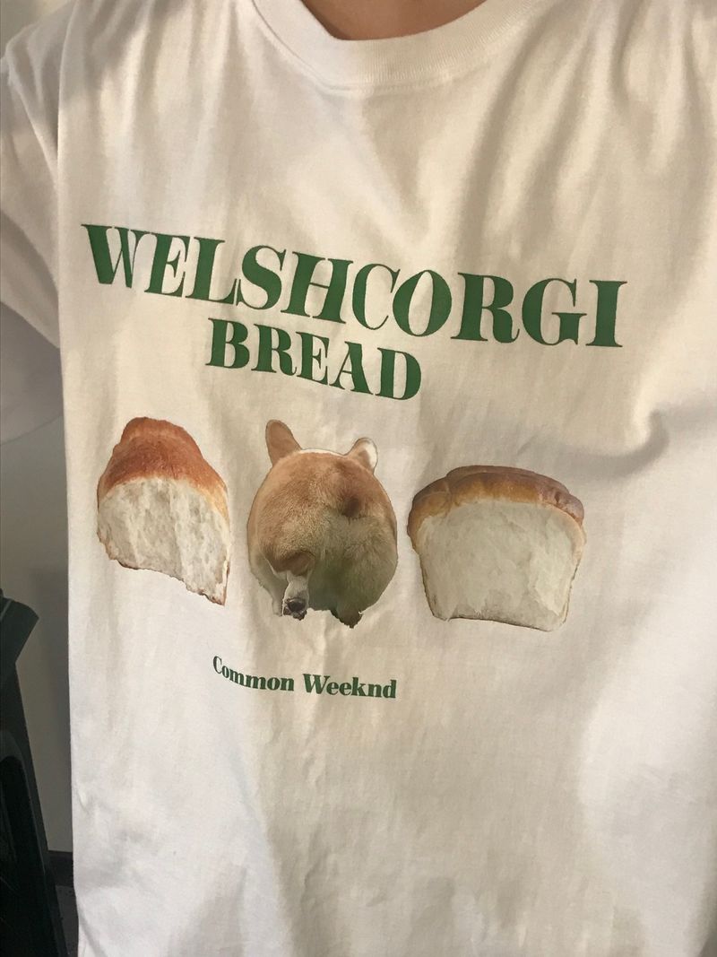 Comfortable corgi T-Shirt