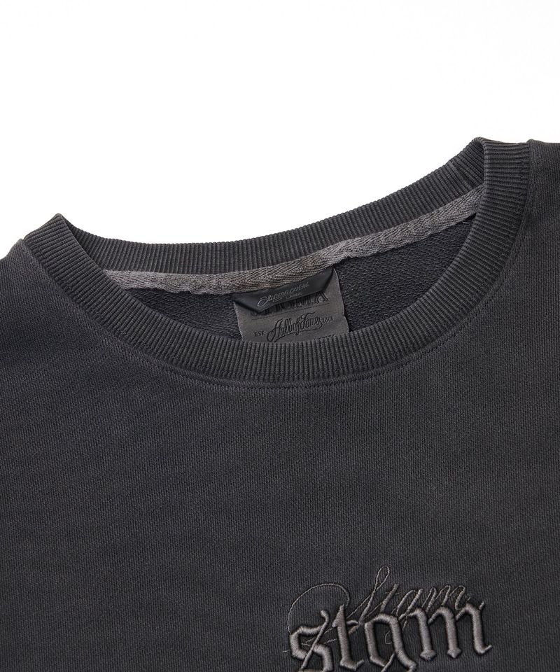 PIGMENT ML CREWNECK CHACOAL