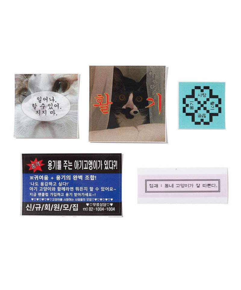 CAT LUCK CHARM - ENERGY