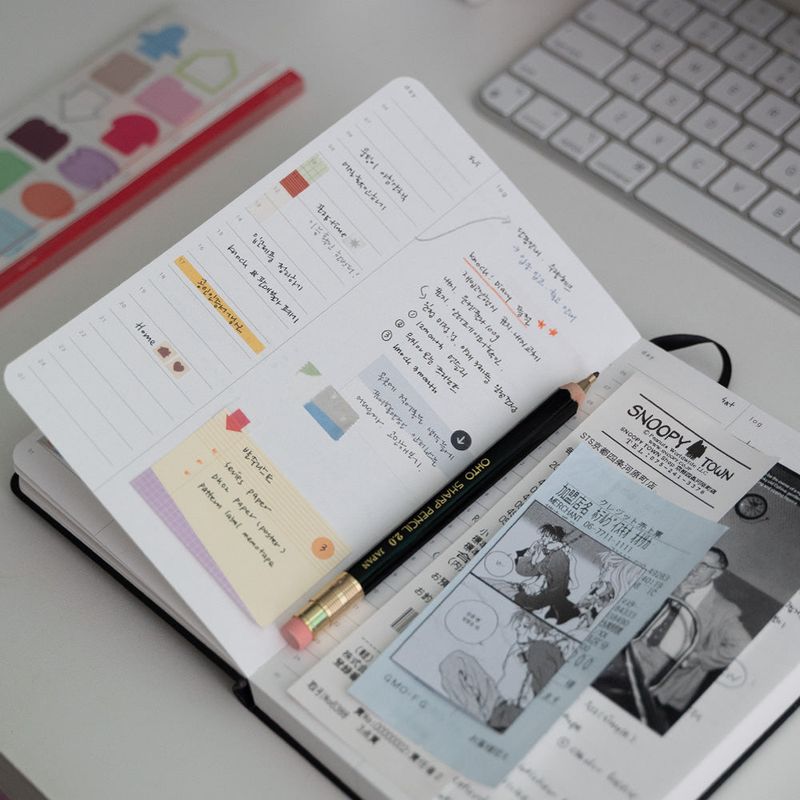 2025 6month daily diary