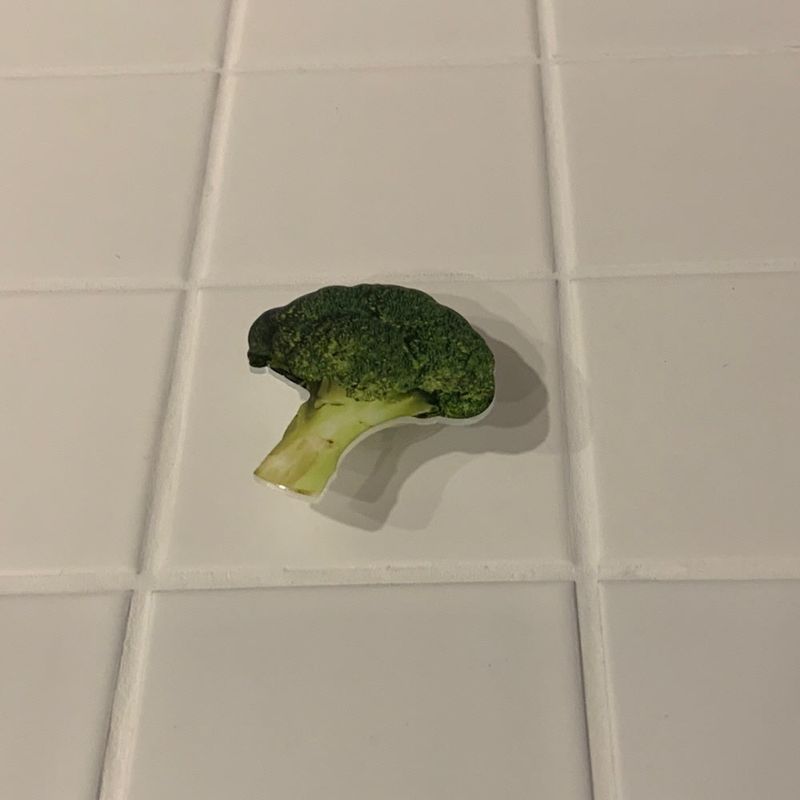 BROCCOLI GRIP TOK