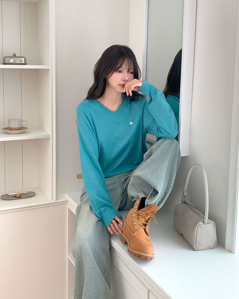 Caramel Color V-Neck Knit