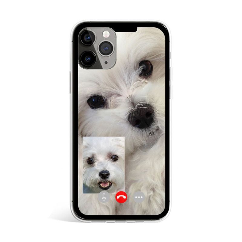 Jelly phone case maltese facetime