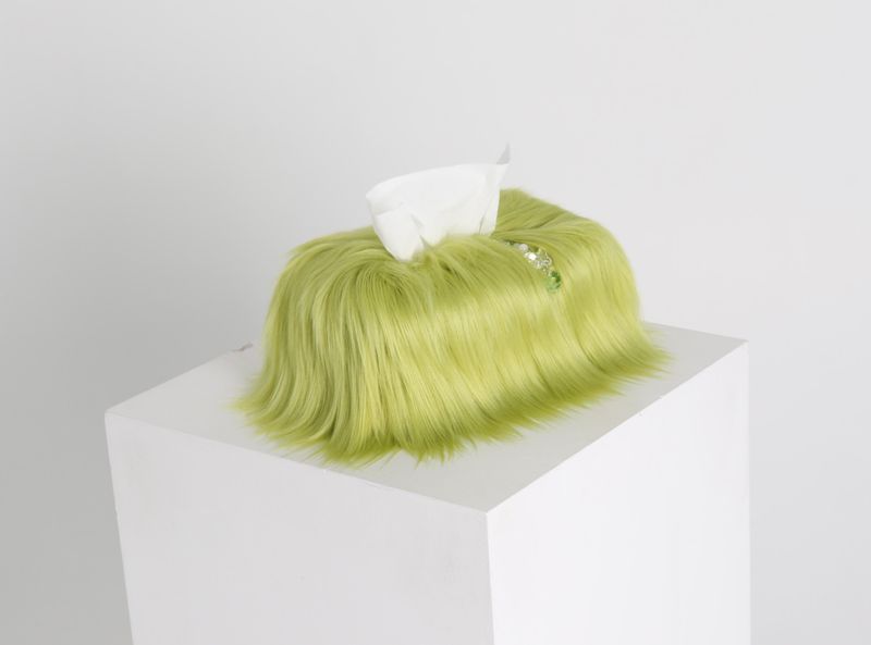 green apple tissue case