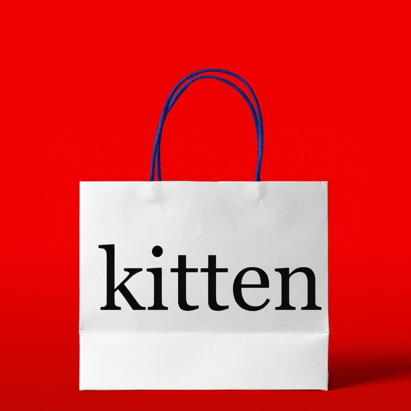 Kitten（キッテン）の「2024 WINTER LUCKY BOX (Kitten)  （Lucky Bags）」