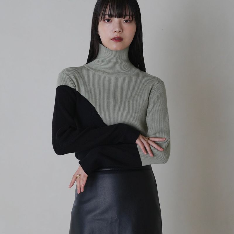 bicolor turtleneck