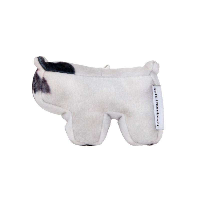Rocky, Bulldog