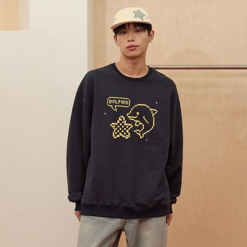Pixel Star Dolphin Sweatshirt