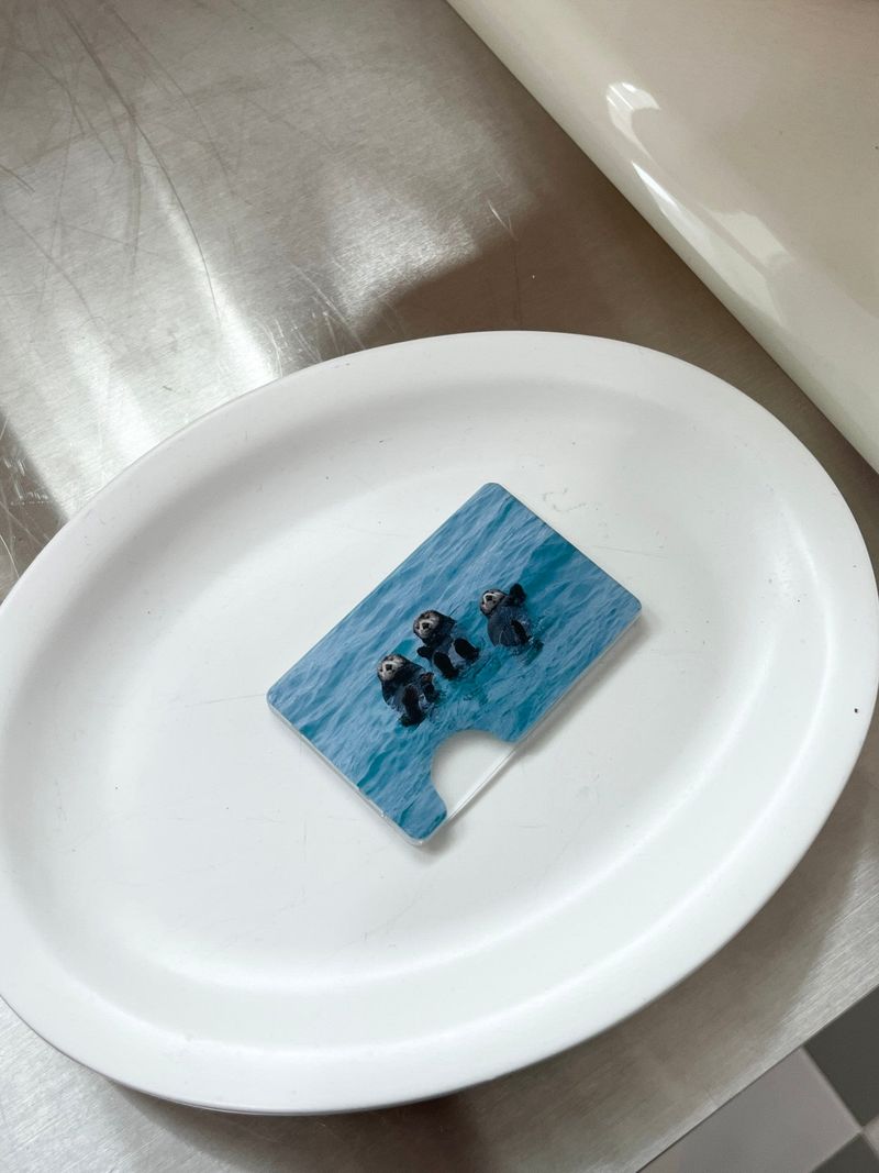 [sea otter triplets magsafe cardslot]