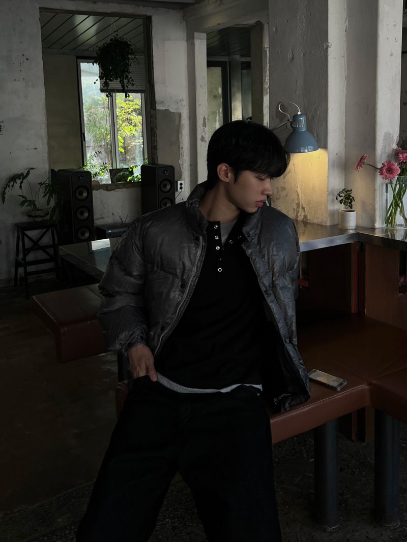Cracked Nuptse Metallic Short Puffer Jacket