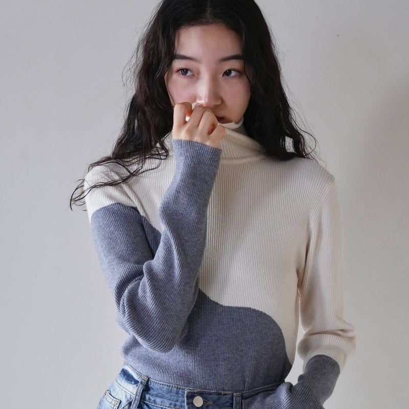 bicolor turtleneck