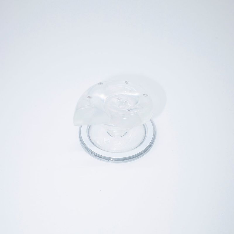 Ammonite Tok MagSafe_ Clear