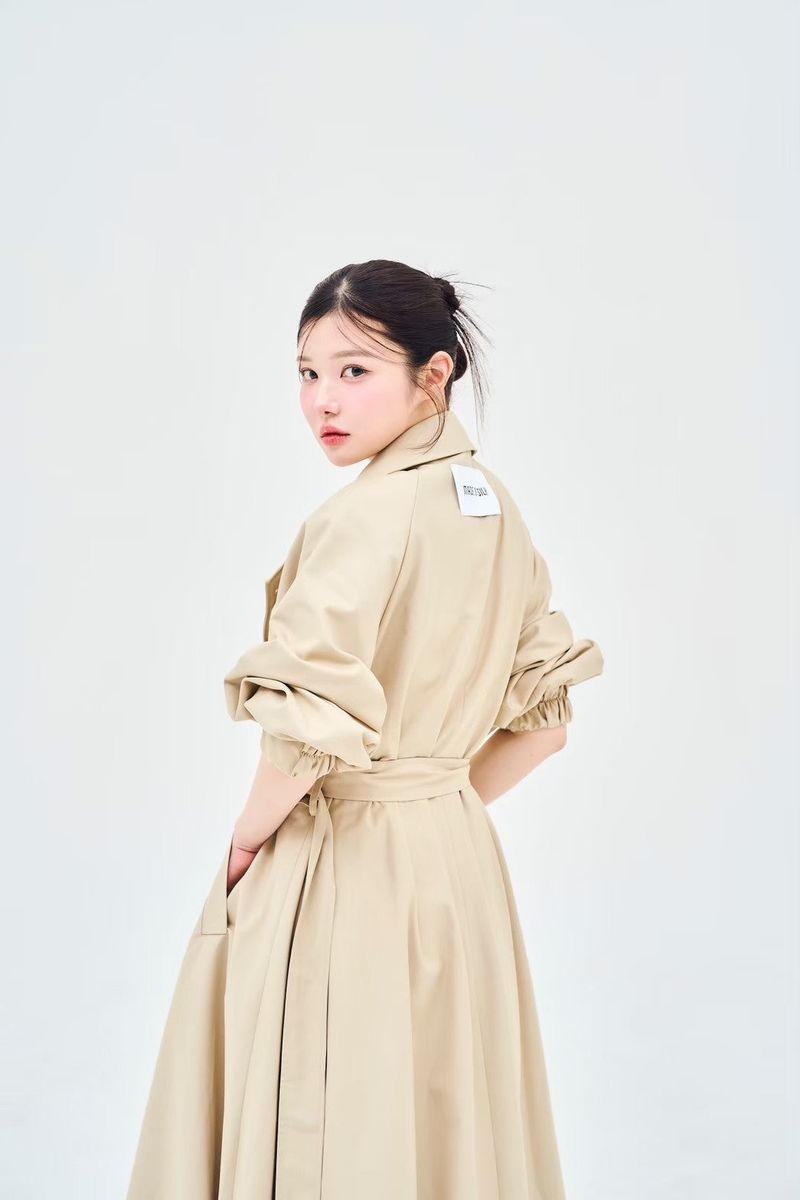 trench coat dress