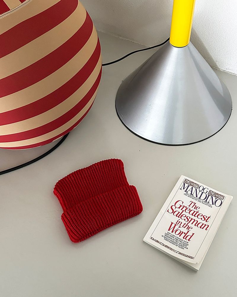 A beanie with cat ears